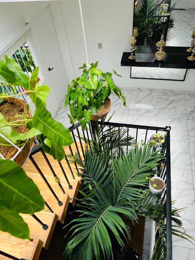 Le Marie B&B Cartagena Buitenkant foto